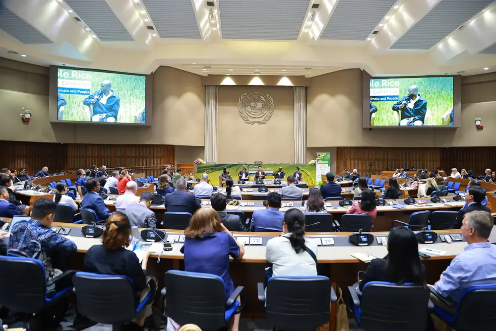 Brand guideline mockups